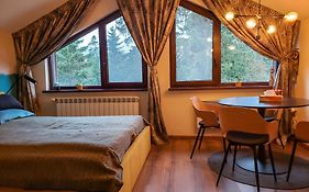 Borovets Forest View