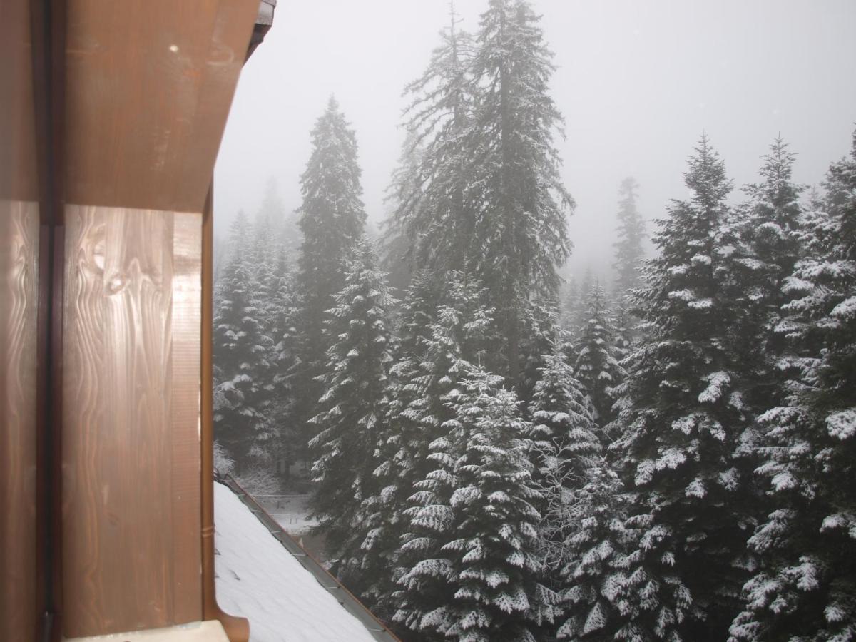 Borovets Forest View Екстериор снимка