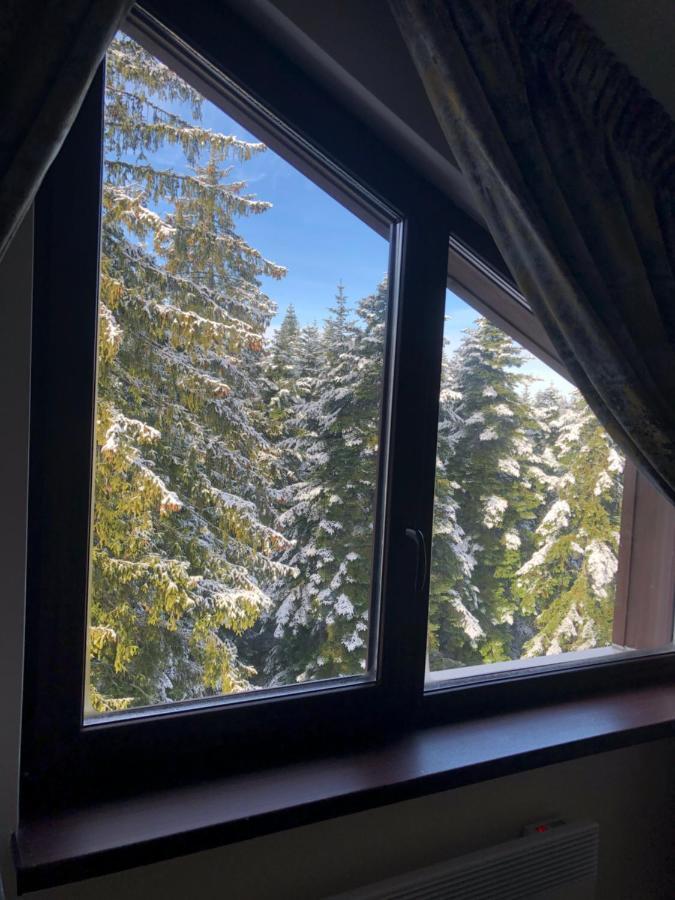 Borovets Forest View Екстериор снимка