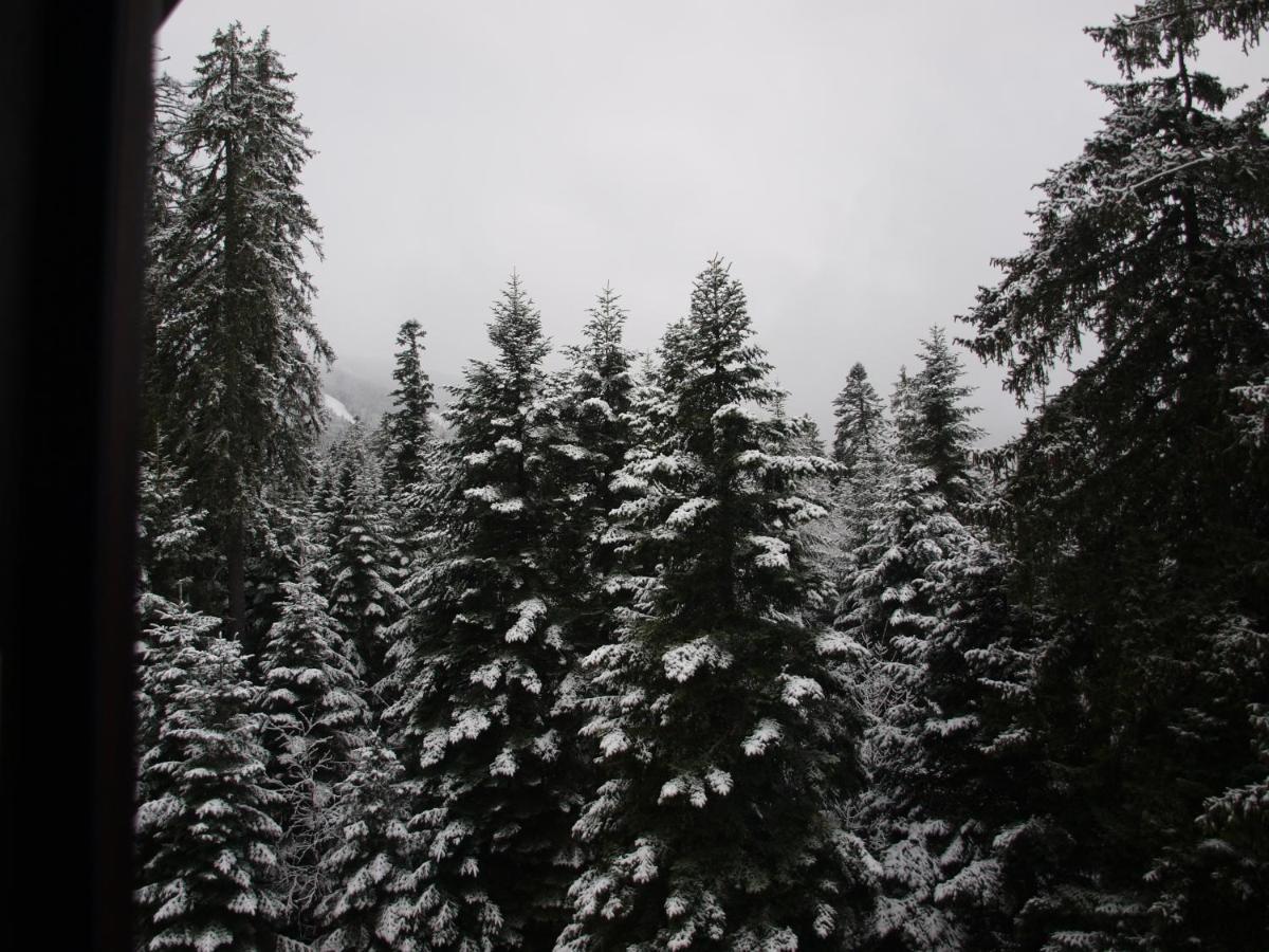 Borovets Forest View Екстериор снимка