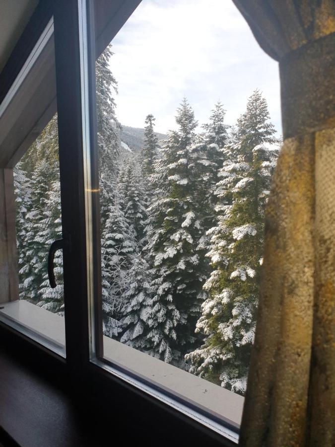 Borovets Forest View Екстериор снимка